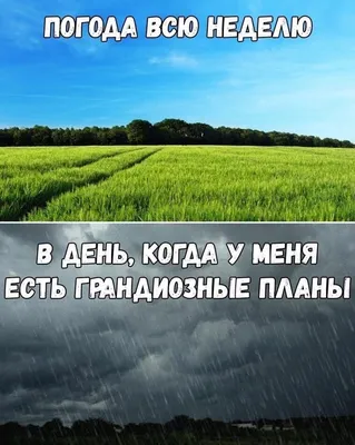 Купить книгу «Мишкина каша. Рассказы», Николай Носов | Издательство  «Махаон», ISBN: 978-5-389-24767-3