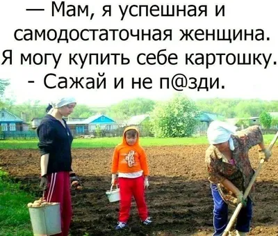 Дачный сезон . Смешные картинки