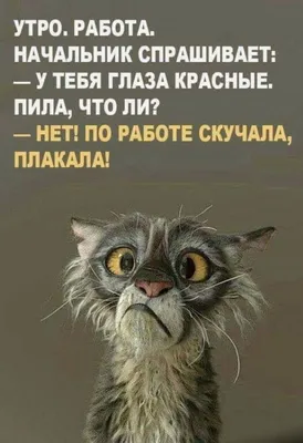 Кавказская Девушка В Постели, Вставая Опаздывать На Работу Со Страшной  Похмелья, Смешные Концепции Фотография, картинки, изображения и  сток-фотография без роялти. Image 18468023