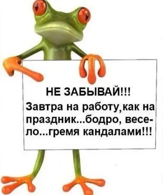 Смешные деньги. Алексей Шамутило о самом сложном в работе стендап-комика |  КУЛЬТУРА | АиФ Псков