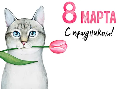 день 8 марта, 8 марта картинки, с 8 марта поздравляю, прикольные  поздравления с 8 марта, 8 го марта, 8 ое марта, c 8 марта