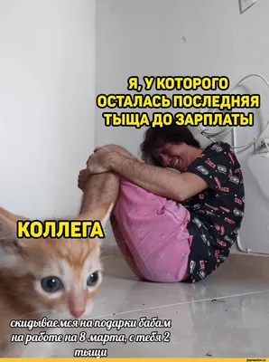 МИНУТКА ЮМОРА😂😂😂 Собрали смешные мемы, посвящённые 8 марта😍😍😍 Больше  - по ссылке в профиле 👆😂😏 | Instagram