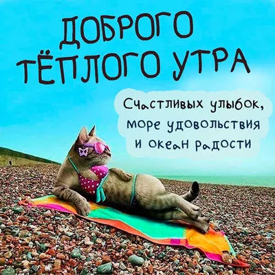 С добрым утром!#видеооткрытка #открыткасдобрымутром#открытка #рекоменд... |  TikTok