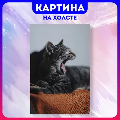 Картина на холсте Смешные коты забавный кот животные (4) 50х70 см - купить  по низкой цене в интернет-магазине OZON (1165573905)