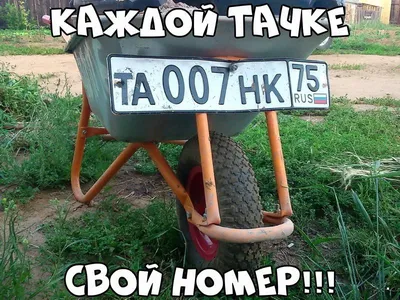 Смешные картинки