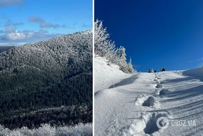 ❄️Короткие и красивые, смешные и лёгкие стихи про зиму для детей можно  учить с еще совсем маленькими детишками! ⠀ 🍎Сохраните пост в… | Instagram