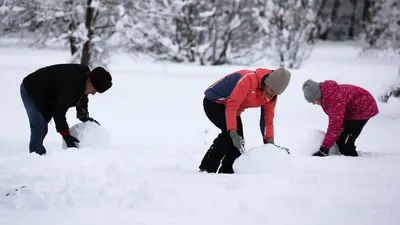 С днем рождения, Снеговик!