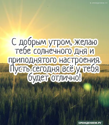 Весенний букет Радость солнечного дня| купить недорого | доставка по Москве  и области