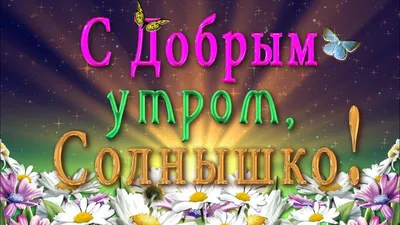 Доброе утро солнце картинки прикольные - 81 фото