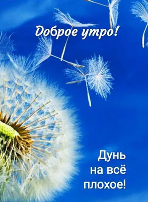 📎26▫☀Раннее утро, солнышко встало.Доброе утро, тебе прошептало. | Доброе  утро, Открытки, Цветочные картины