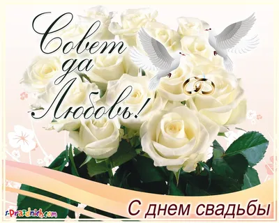 Рушник «Совет да Любовь» (п/э, 36 х 147 см), цена — 228 р., купить в  интернет-магазине