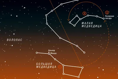 Околополярные незаходящие созвездия: Северное полушарие