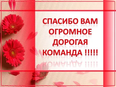 Спасибо Дорогая Для Того Чтобы Сделать Меня Женщиной — стоковая векторная  графика и другие изображения на тему Текст - iStock