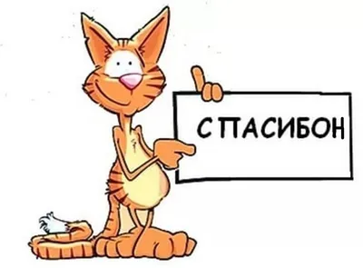 Всероссийский праздник благодарности родителям «Спасибо за жизнь!» —  ДЕМОГРАФИЧЕСКАЯ ПЛАТФОРМА.РФ