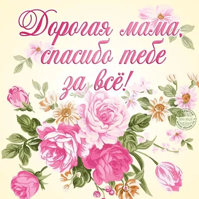 спасибо вам за жизнь #мама❤#папа💋#врекомендации | TikTok