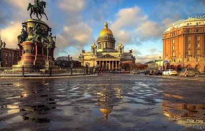 Полезного вам: прекрасные обои на телефон с | Подслушано в Питере Санкт-Петербург  СПБ