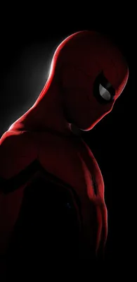 Spiderman In the Dark | Marvel phone wallpaper, Superhero wallpaper, Marvel  iphone wallpaper