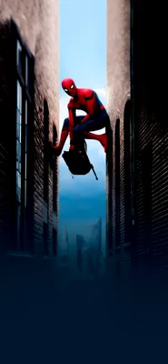 The amazing spider man обои на телефон