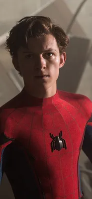 Images Spider-Man: Homecoming superheroes Spiderman hero film