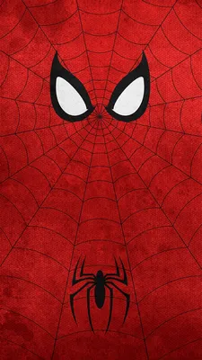 Spider Man Phone Wallpapers - Top Free Spider Man Phone Backgrounds -  WallpaperAccess