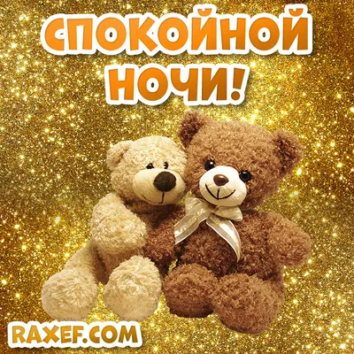 Споки ноки всем от Смоки🤗 мур-мя | Instagram