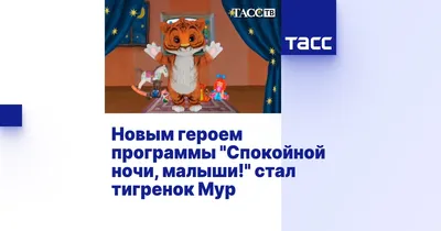 Мусульмане называли Хрюшу свиньей и требовали запретить»: Как создавали  передачу «Спокойной ночи, малыши» - KP.RU