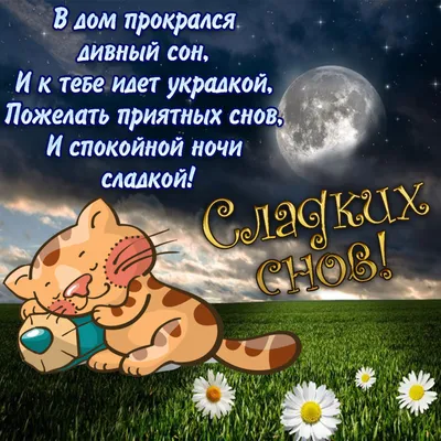 Спокойной ночи!🌃 Сладких снов! 🥱😴😘😘😘❤#спокойнойночи #сладкихснов... |  TikTok