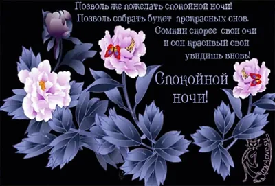 Спокойной ночи 🌙 Желаю приятных и сладких снов 🦋🦋🦋 - YouTube