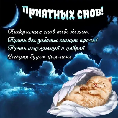 ДОБРОЙ НОЧИ!⭐ 🌙 Красивое пожелание Спокойной Ночи! Сладких Снов! Тебе от  меня! - YouTube | Ночь, Спокойной ночи, Веселые шутки