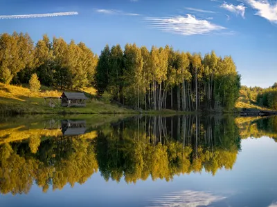 Фиточай спокойствие ф/пак 1,5 20 шт. - цена 137 руб., купить в интернет  аптеке в Москве Фиточай спокойствие ф/пак 1,5 20 шт., инструкция по  применению