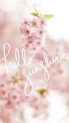 Spring wallpaper, Hello spring wallpaper, Android wallpaper