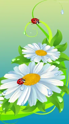 Ladybugs on Daisies - Mobile Abyss