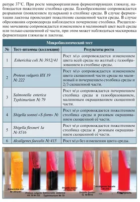 Среда 2023. Фестиваль нового дизайна