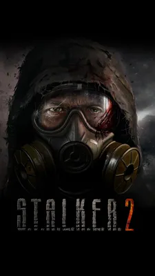 Обои Stalker Clear Sky на 1080x1920