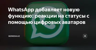 WhatsApp добавляет новую функцию: реакции на статусы с помощью цифровых  аватаров | Bizmedia.kz | Дзен