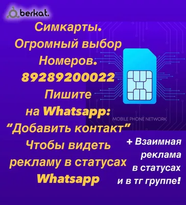 В WhatsApp можно будет реагировать на статусы » Новости Усть-Каменогорска и  ВКО свежие на сегодня | ALTAYNEWS