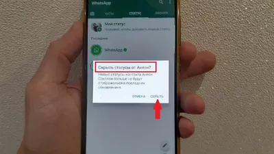 Казахстанца оштрафовали за религиозные статусы в WhatsApp - MediaWorld.kz