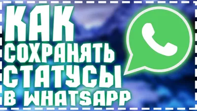 Как скрыть свой статус WhatsApp для выбранных контактов - Hi-Tech Mail.ru