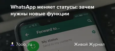 Как Сохранять Статусы WhatsApp В Галерею | Галереи