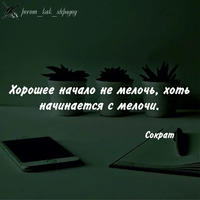 Слова со смыслом. Статусы. Цитаты. Женский юмор. Афоризмы.