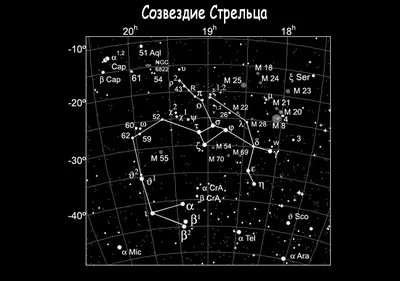 Файл STL Знак зодиака Стрелец - печать на смоле 🌐・Шаблон для 3D-печати для  загрузки・Cults