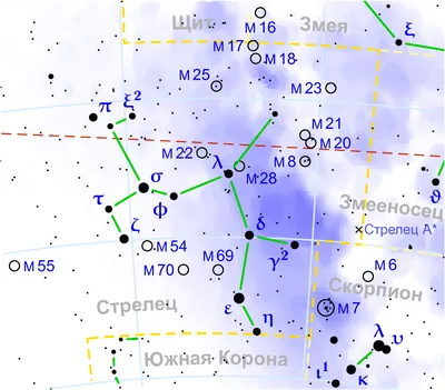 Стрелец 22 ноября - 21 декабря