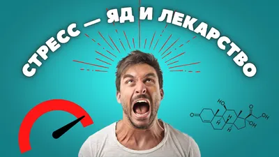 10 советов о том, как справиться со стрессом на рабочем месте | DOU