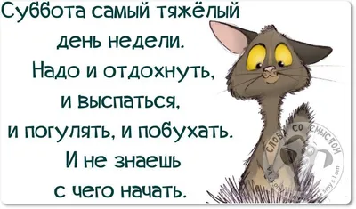 Просто завидует». Спартак Суббота отреагировал на расследование  психотерапевта Полуденного