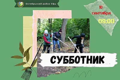 Субботник в «Сириусе» объединил около тысячи человек