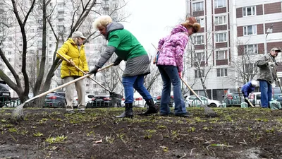 Все на субботник! | «Ставропольский колледж связи имени Героя Советского  Союза В.А. Петрова»