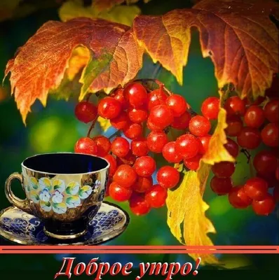 С добрым осенним утром!☕️ Отличного дня!☂️🍁 Супер Песня! Красивая  музыкальная открытка Доброе Утро! - YouTube