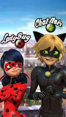 ᐉ Кукольный набор Miraculous Леди Баг и Супер-Кот S2 Суперсекрет Эдриана  50358 • Купить в Киеве, Украине • Лучшая цена в Эпицентр К