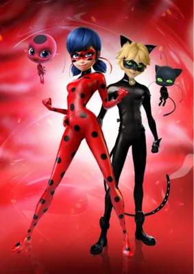 ᐉ Кукла Miraculous Мальчик Леди Баг и Супер-Кот S2 – Супер-Кот (27 см)  50002 • Купить в Киеве, Украине • Лучшая цена в Эпицентр К