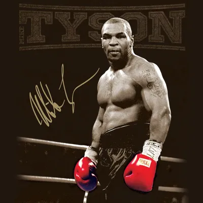 Mike Tyson iPhone Wallpapers - Top Free Mike Tyson iPhone Backgrounds -  WallpaperAccess